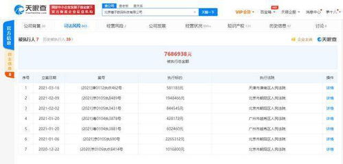 錘子科技關(guān)聯(lián)公司再成被執(zhí)行人，面臨58萬(wàn)執(zhí)行標(biāo)的